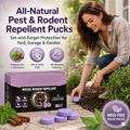 Peppermint & Cinnamon Home Pucks — view 1